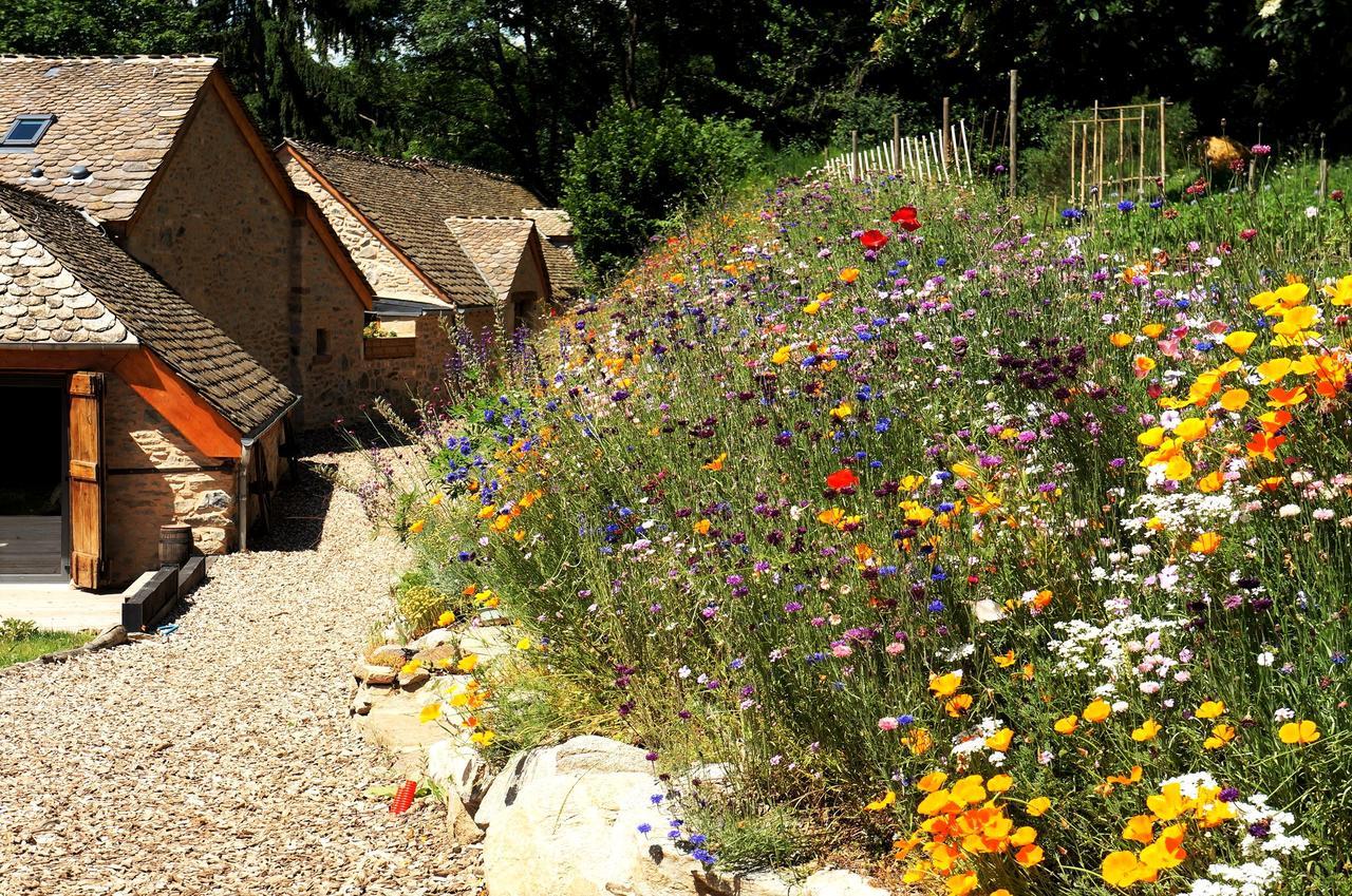 Domaine Des Marequiers Chambre Pimprenelle Saint-Germain-du-Teil Exterior photo